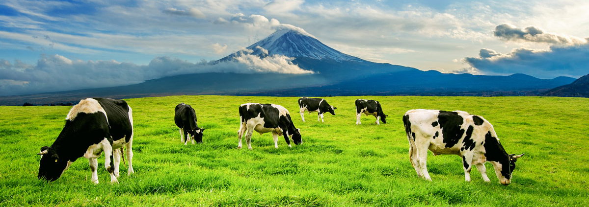 yayla turizmi kavramı nedir